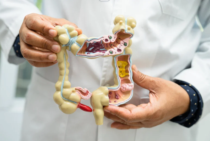 Gut Health & Wellness: Why Checking Your Gut (and Supporting It) Matters